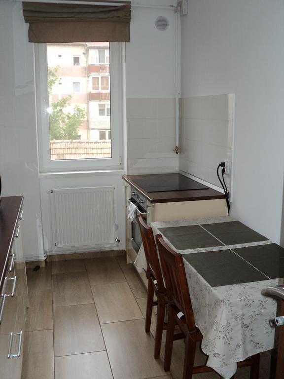 Joy Apartment Τιμισοάρα Εξωτερικό φωτογραφία